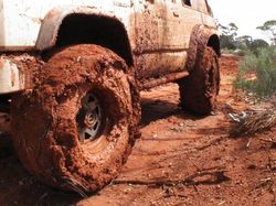 front page picture Muddy