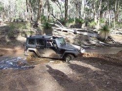 front page picture Jeep